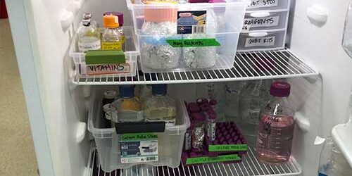 Low-Temperature-&-Refrigeration