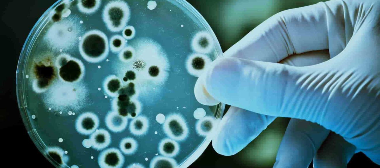 Related-Equipment-For-Cell-Culture-1