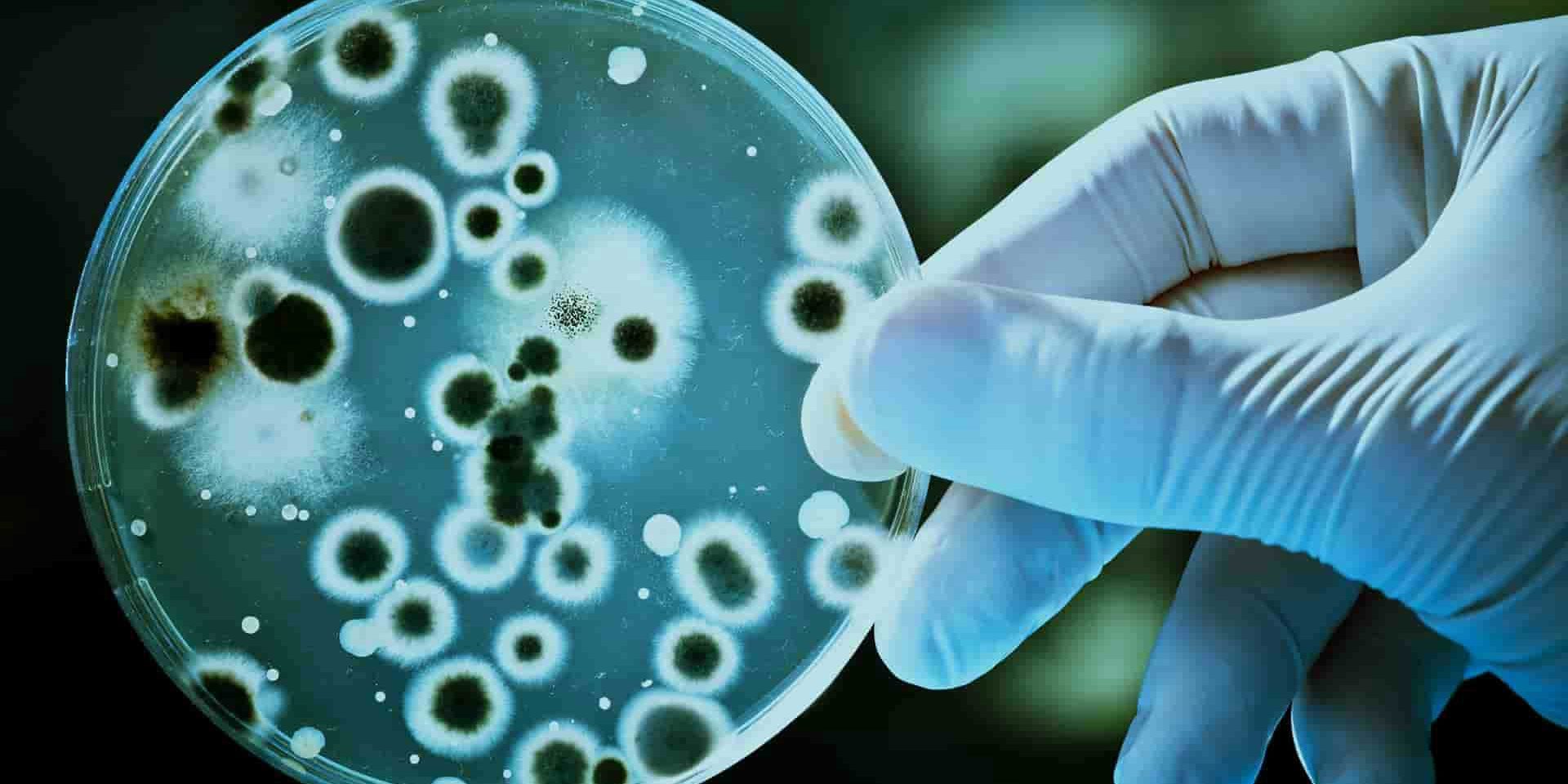 Related-Equipment-For-Cell-Culture-1