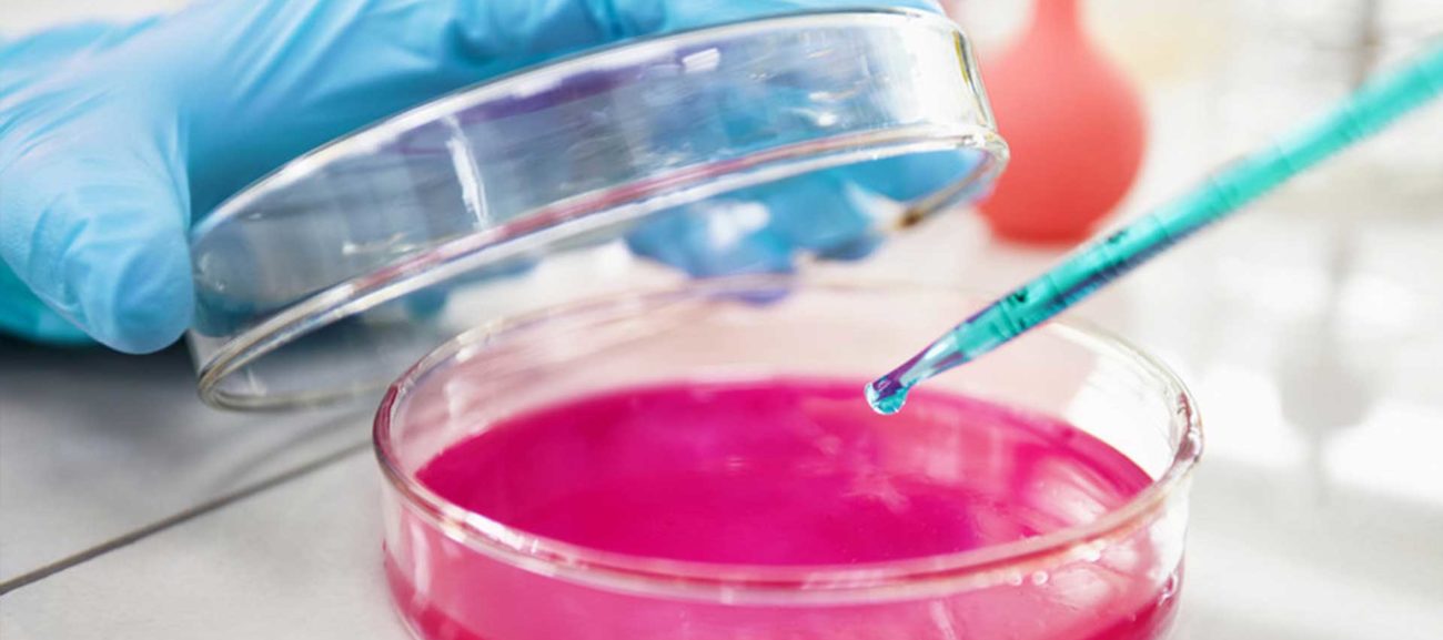 How to Choose CO2 Incubator