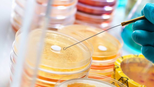 How To Select Vacuum Dryer