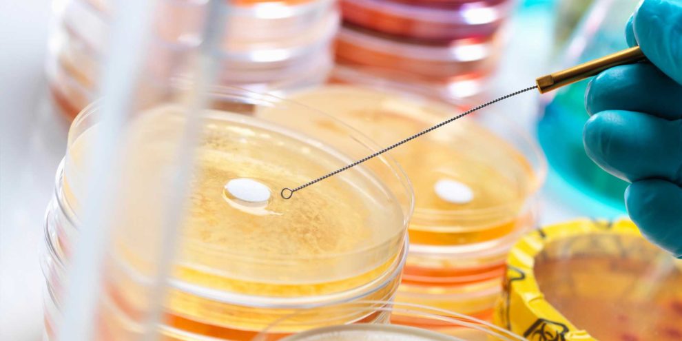 How To Select Vacuum Dryer