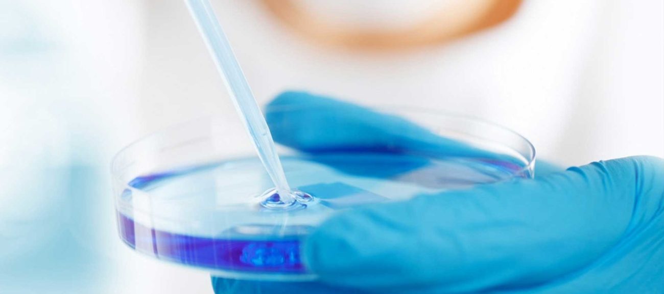 Related Equipment For Cell Culture (3): CO2 Incubator