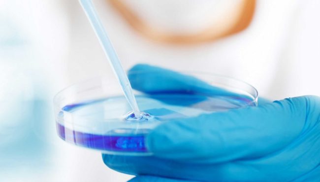 Related Equipment For Cell Culture (3): CO2 Incubator