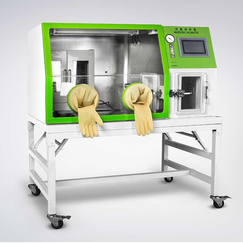 Buy Heating Incubators for Sale Available in Several Sizes & Models